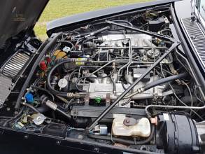 Thumbnail von Daimler Double Six son seri siyah/magnolia