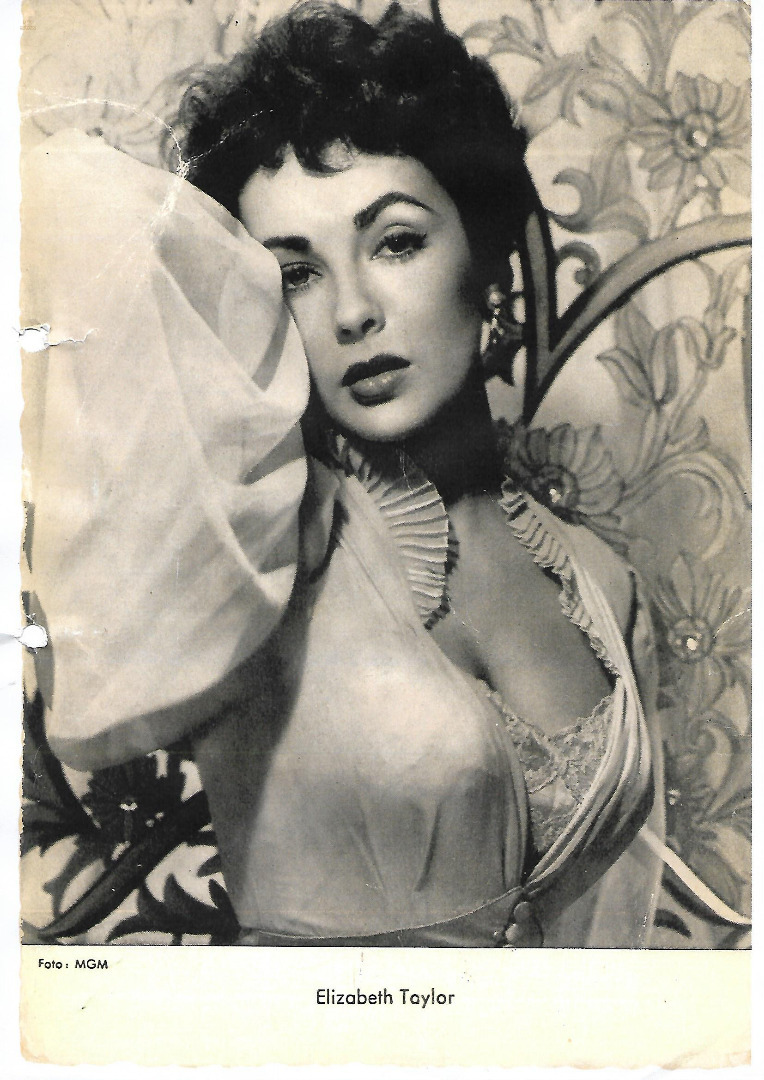 Thumbnail von Der  originale  Elizabeth Taylor Mercedes- Benz 600 Pullmann