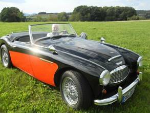 Thumbnail von Occasione speciale! Austin Healey Cabrio con immatricolazione H
