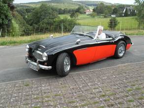 Thumbnail von Occasione speciale! Austin Healey Cabrio con immatricolazione H