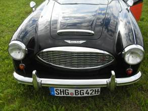 Thumbnail von Occasione speciale! Austin Healey Cabrio con immatricolazione H