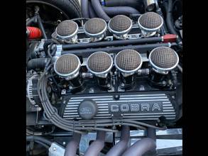 Thumbnail von Shelby Daytona (1965)