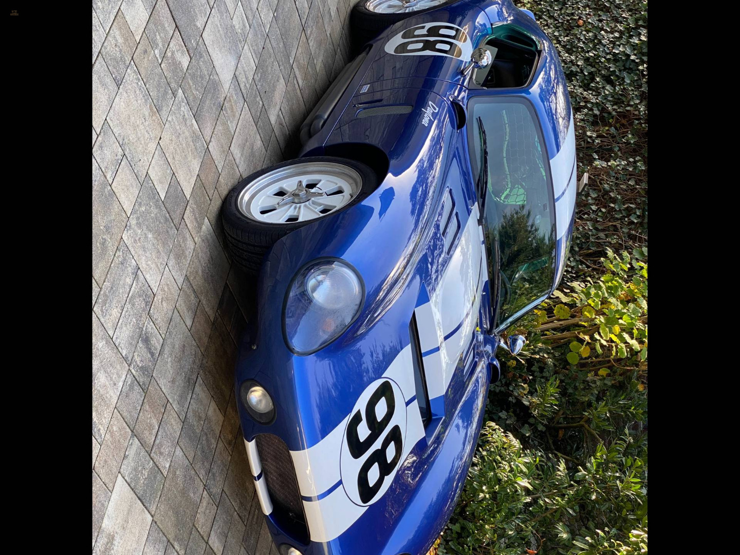 Thumbnail von Shelby Daytona (1965)