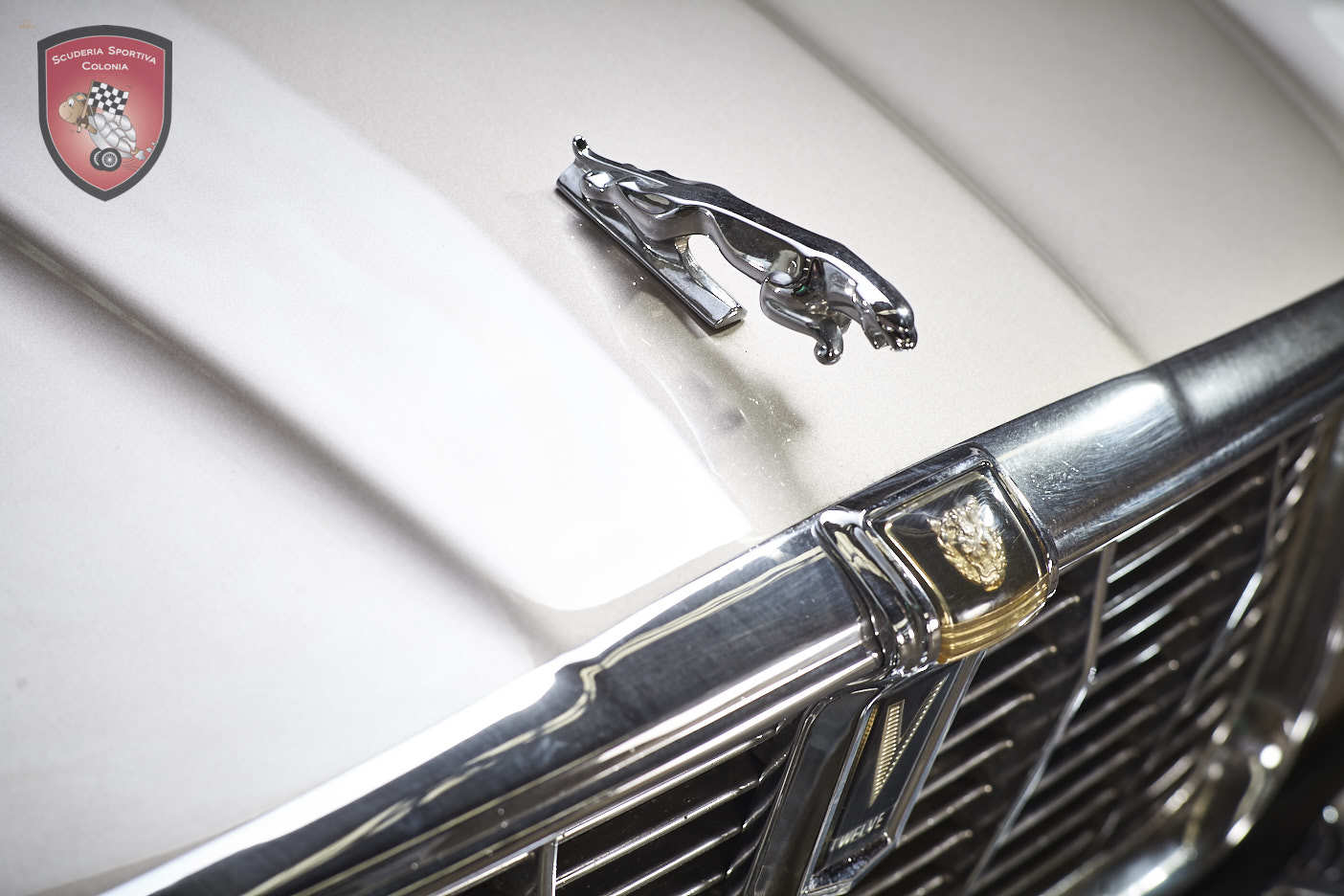 Thumbnail von ジャガー XJ C 5.3 カブリオレ