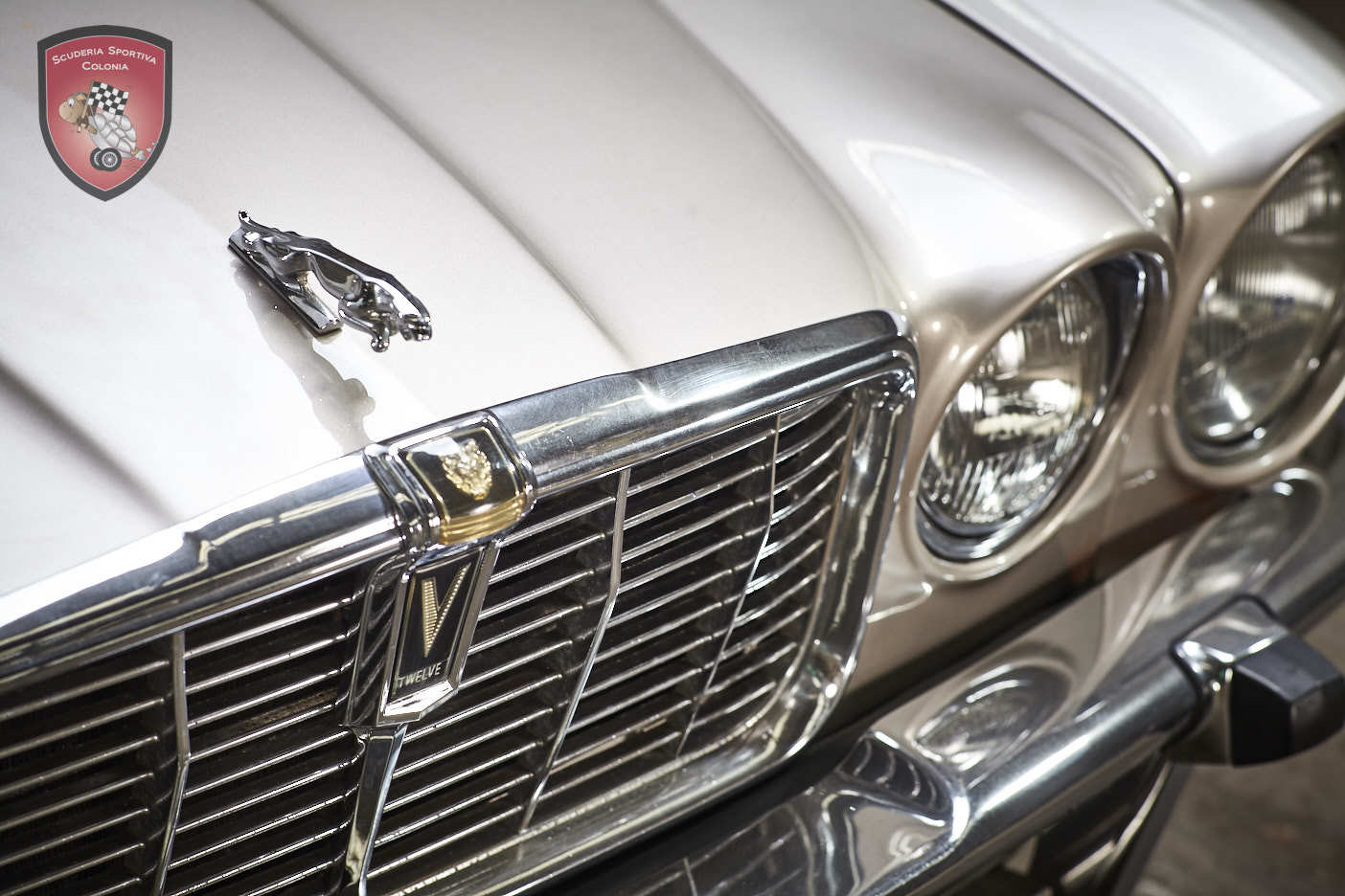 Thumbnail von ジャガー XJ C 5.3 カブリオレ