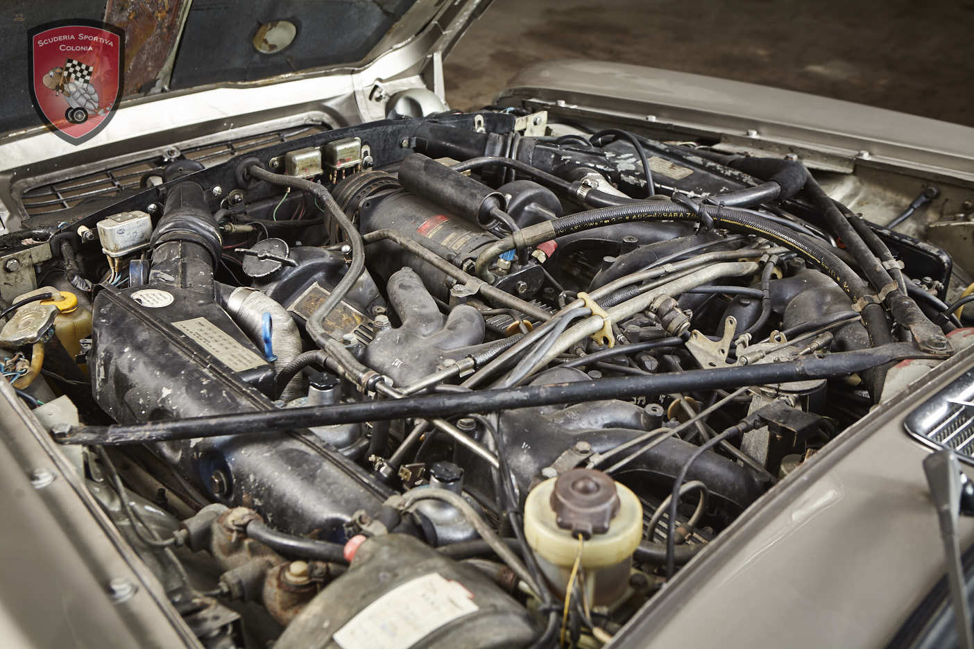 Thumbnail von ジャガー XJ C 5.3 カブリオレ