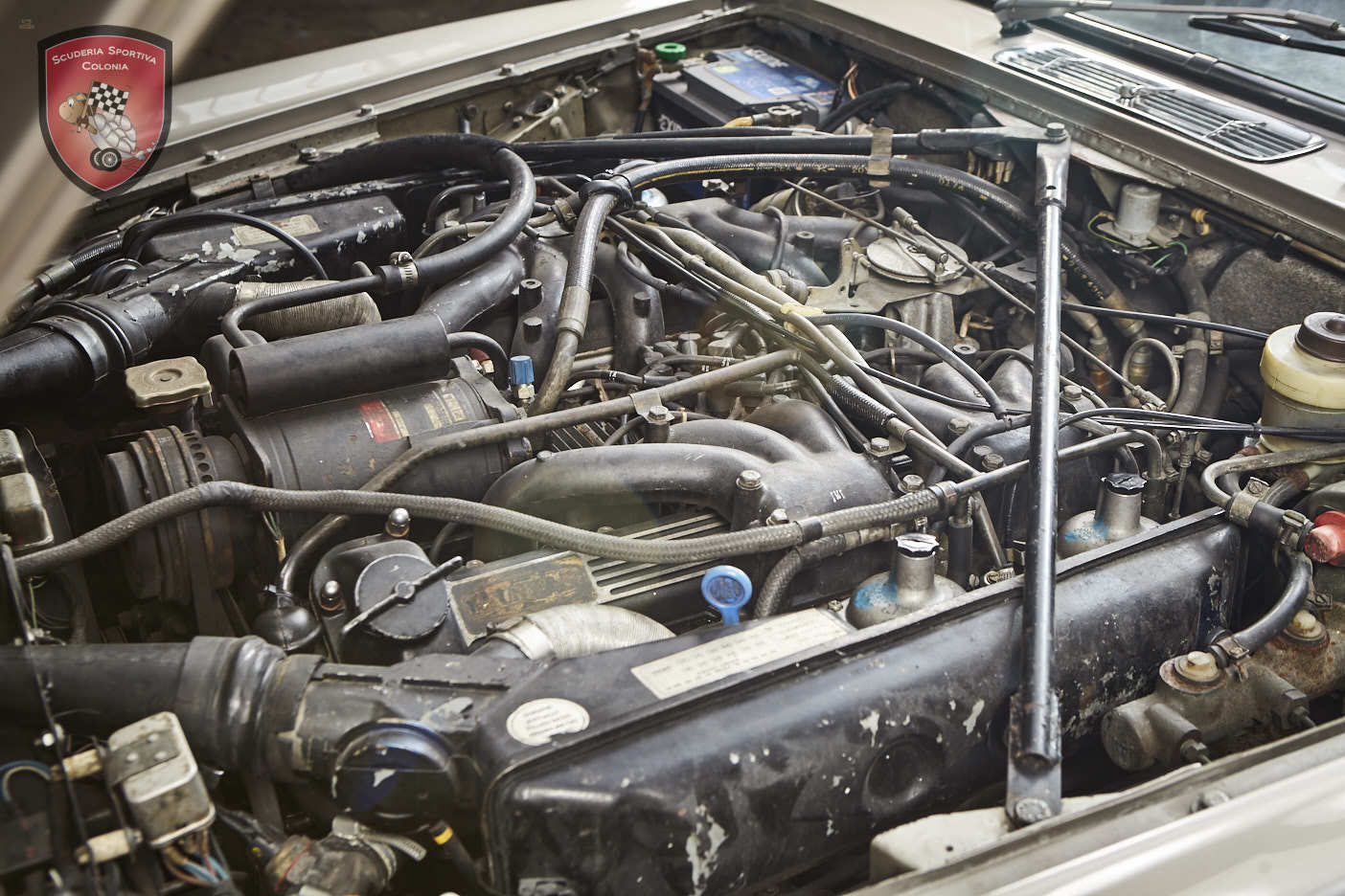 Thumbnail von ジャガー XJ C 5.3 カブリオレ