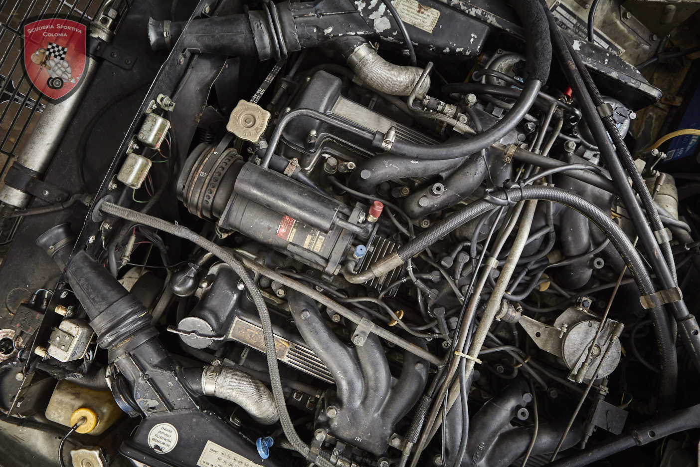 Thumbnail von ジャガー XJ C 5.3 カブリオレ