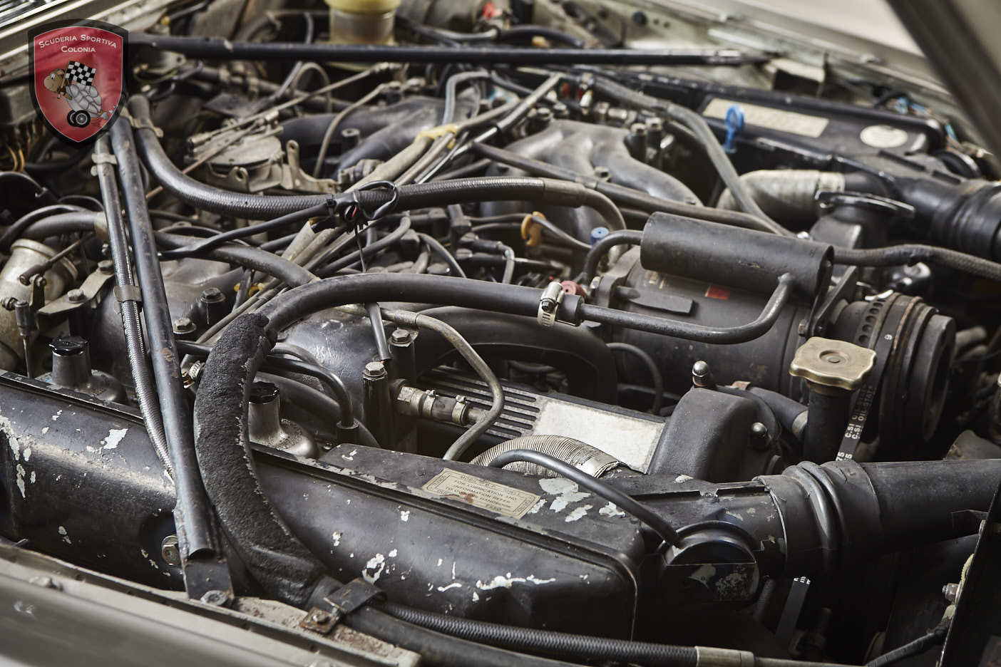 Thumbnail von ジャガー XJ C 5.3 カブリオレ