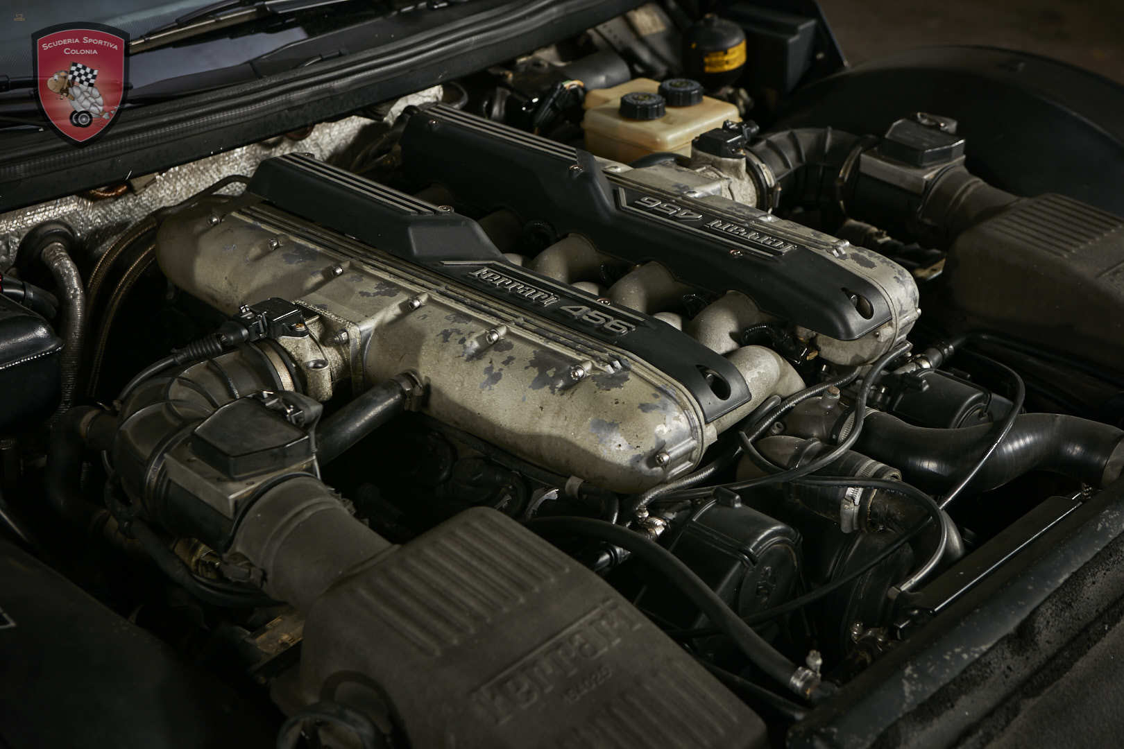 Thumbnail von Ferrari 456 GT