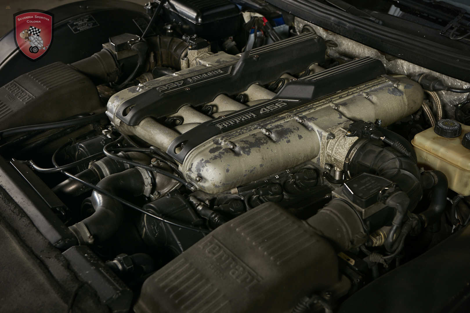 Thumbnail von Ferrari 456 GT