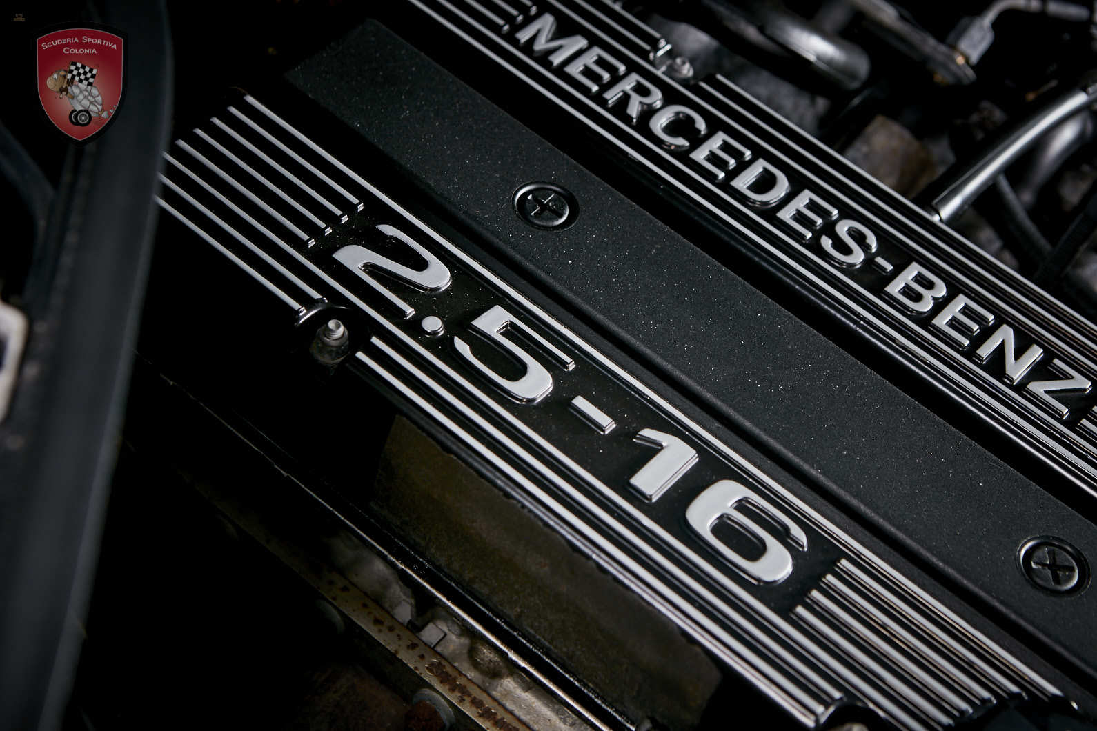 Thumbnail von Mercedes Benz 190 E 2.5 16V