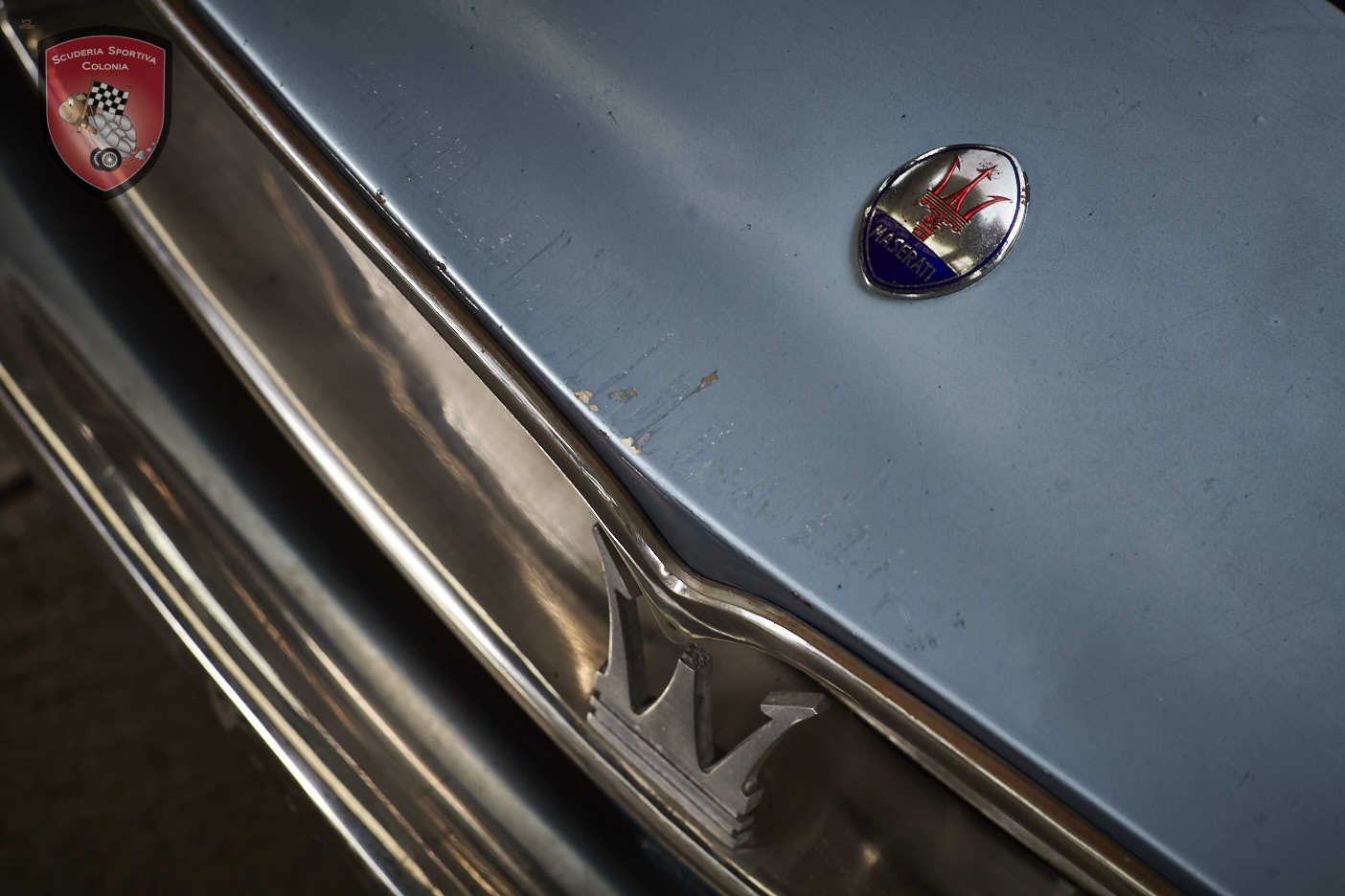 Thumbnail von Maserati Quattroporte серия I