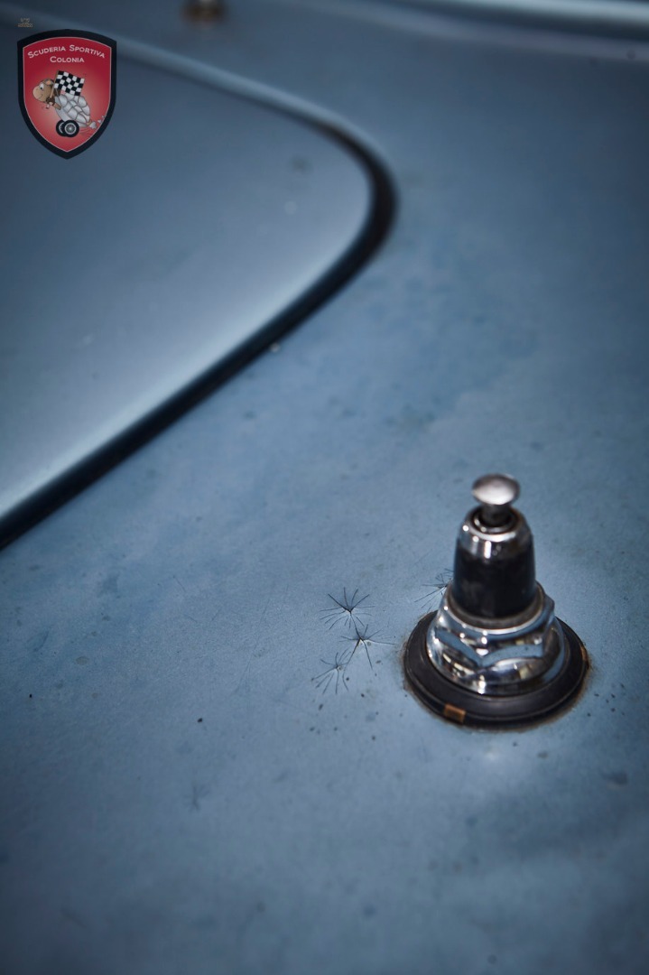 Thumbnail von Maserati Quattroporte серия I