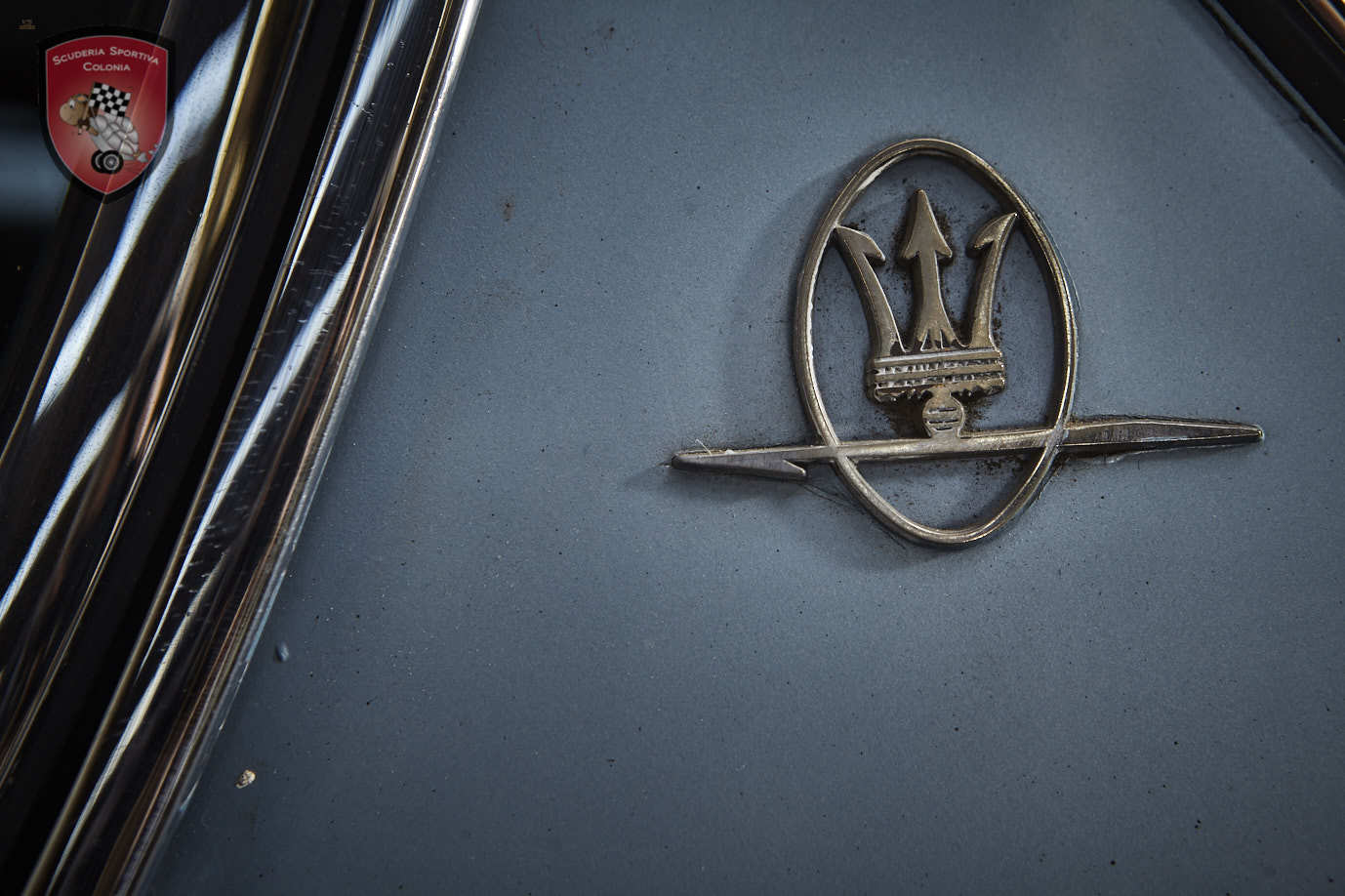 Thumbnail von Maserati Quattroporte серия I