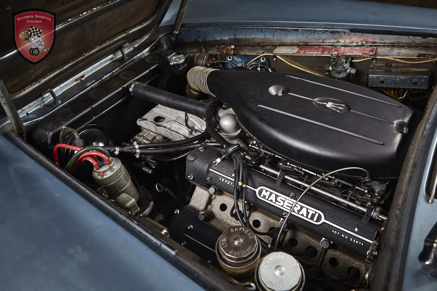 Thumbnail von Maserati Quattroporte серия I