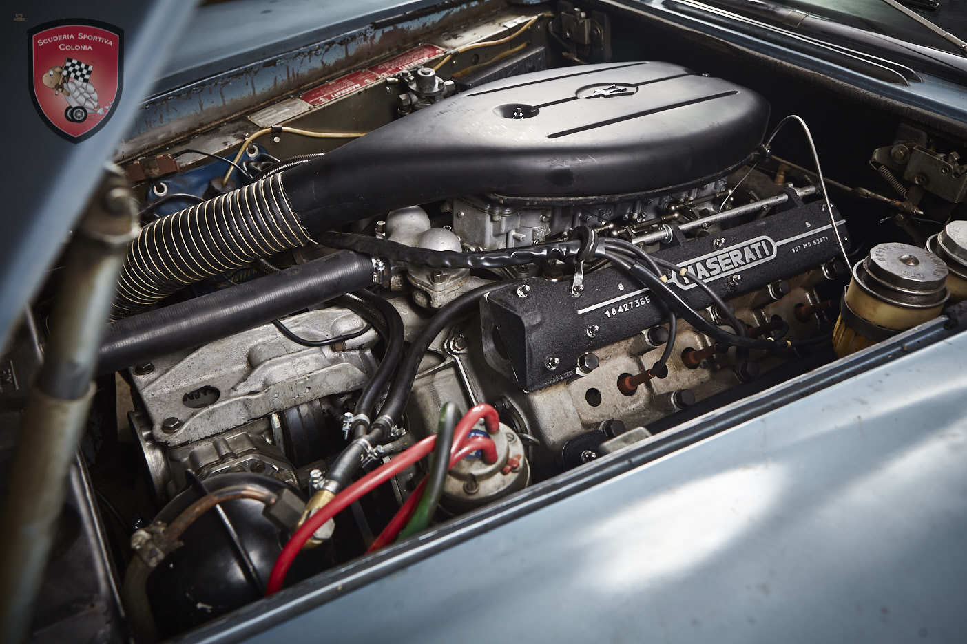 Thumbnail von Maserati Quattroporte серия I