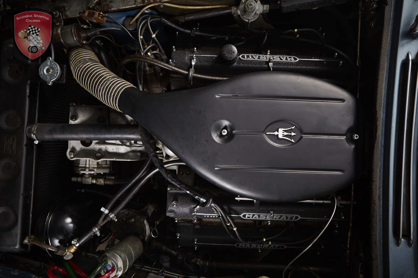 Thumbnail von Maserati Quattroporte серия I