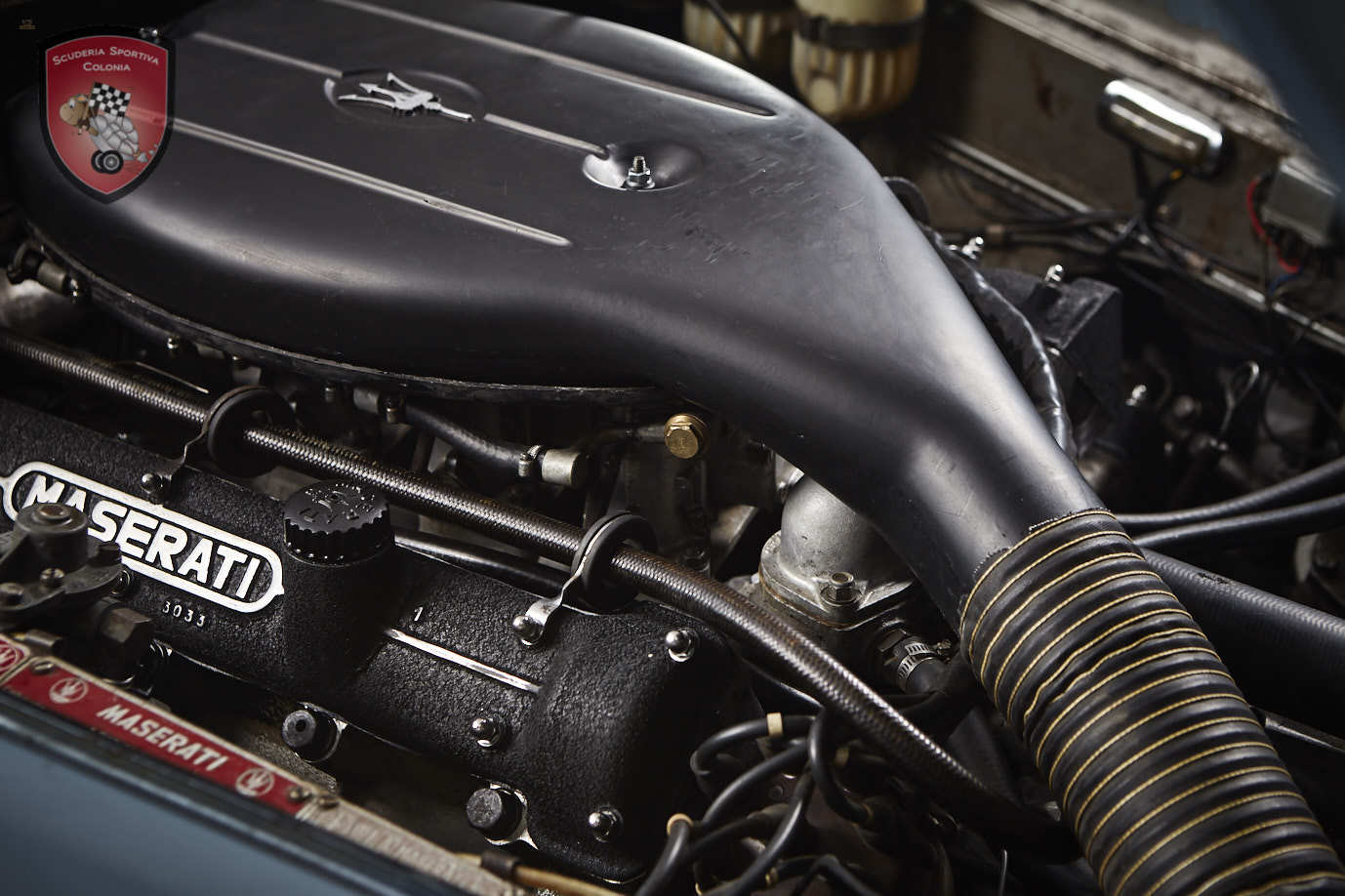 Thumbnail von Maserati Quattroporte серия I