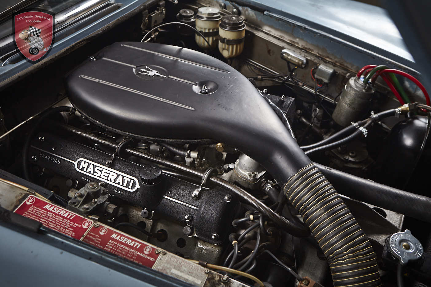 Thumbnail von Maserati Quattroporte серия I