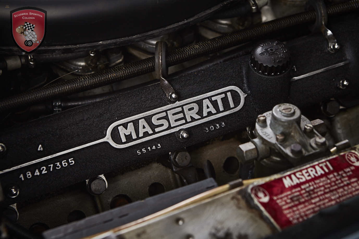 Thumbnail von Maserati Quattroporte серия I