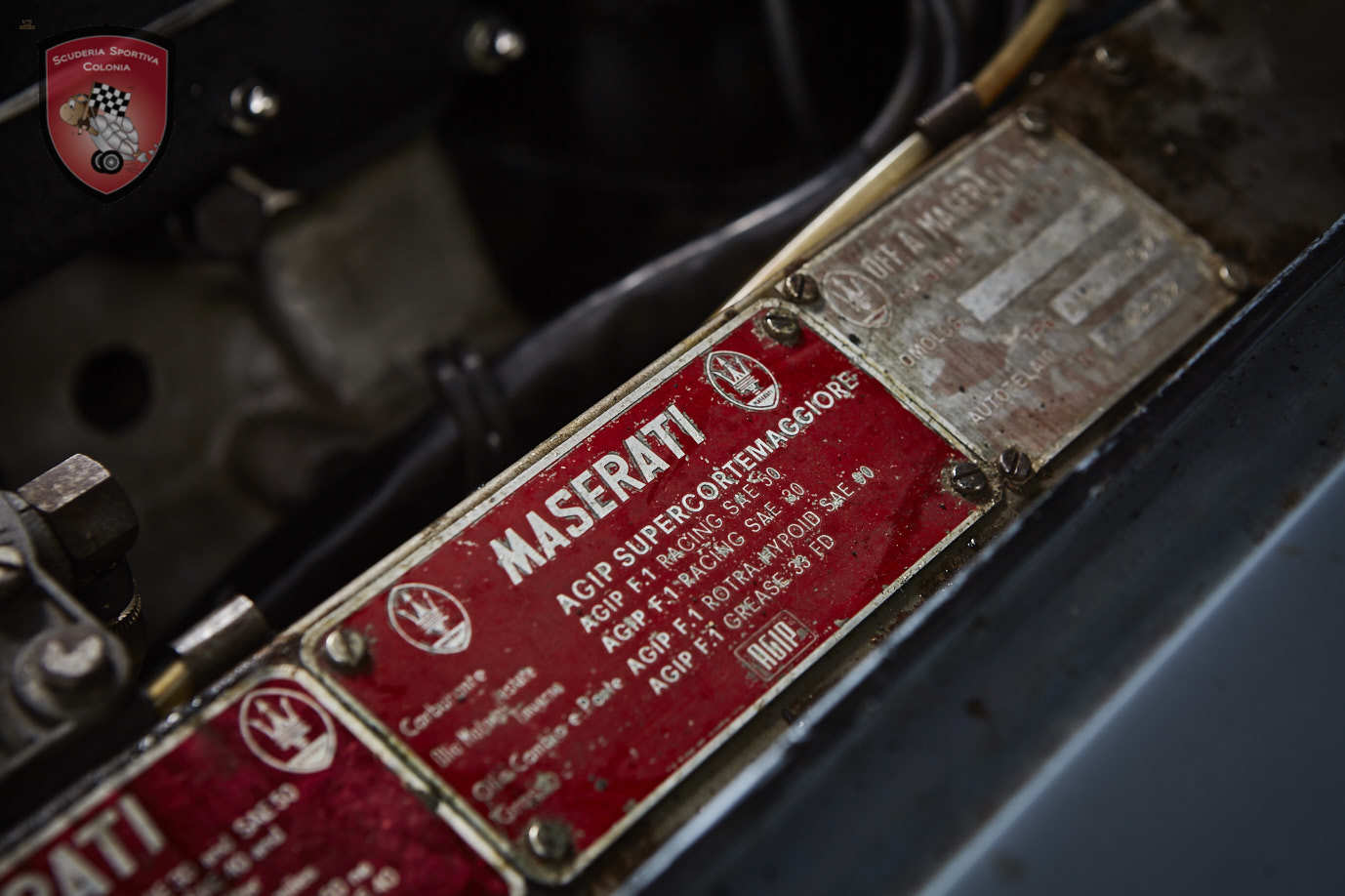 Thumbnail von Maserati Quattroporte серия I