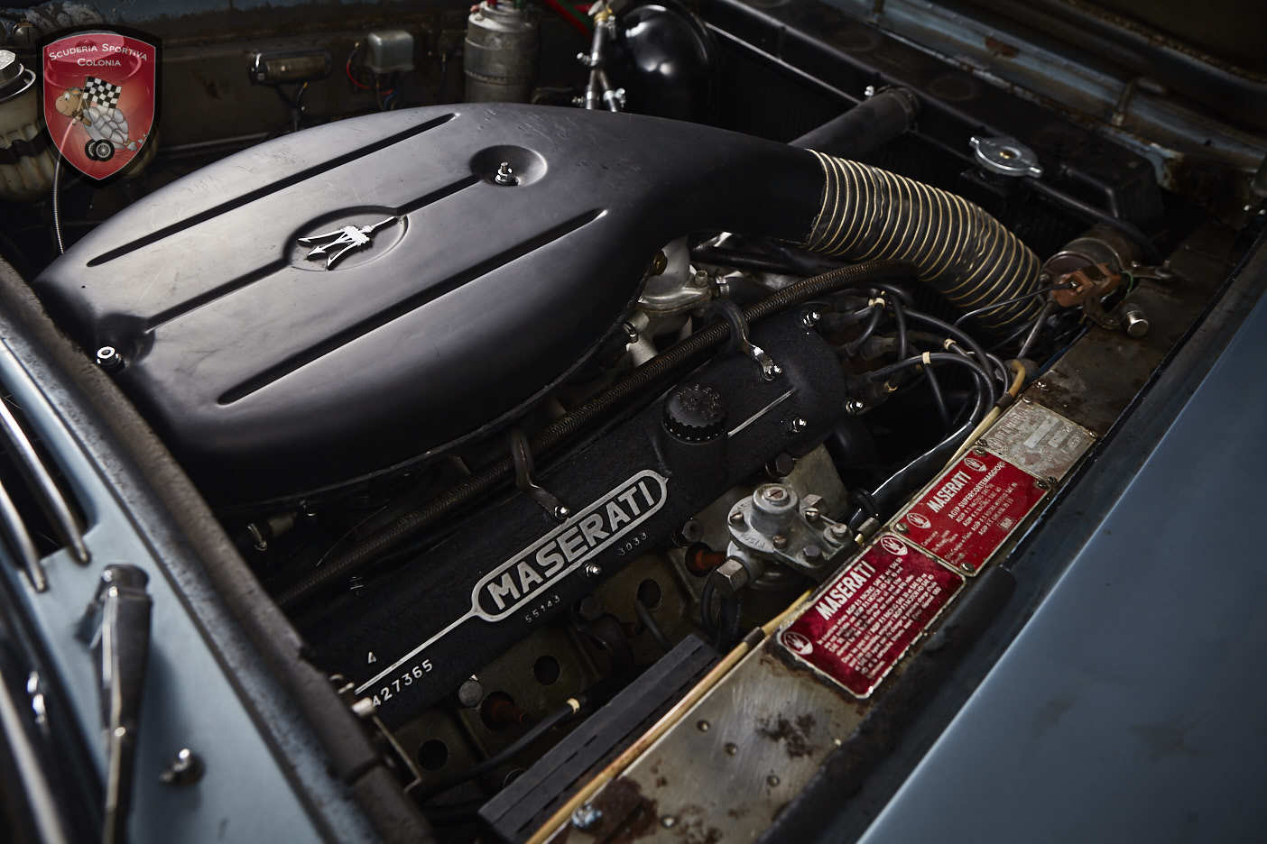 Thumbnail von Maserati Quattroporte серия I