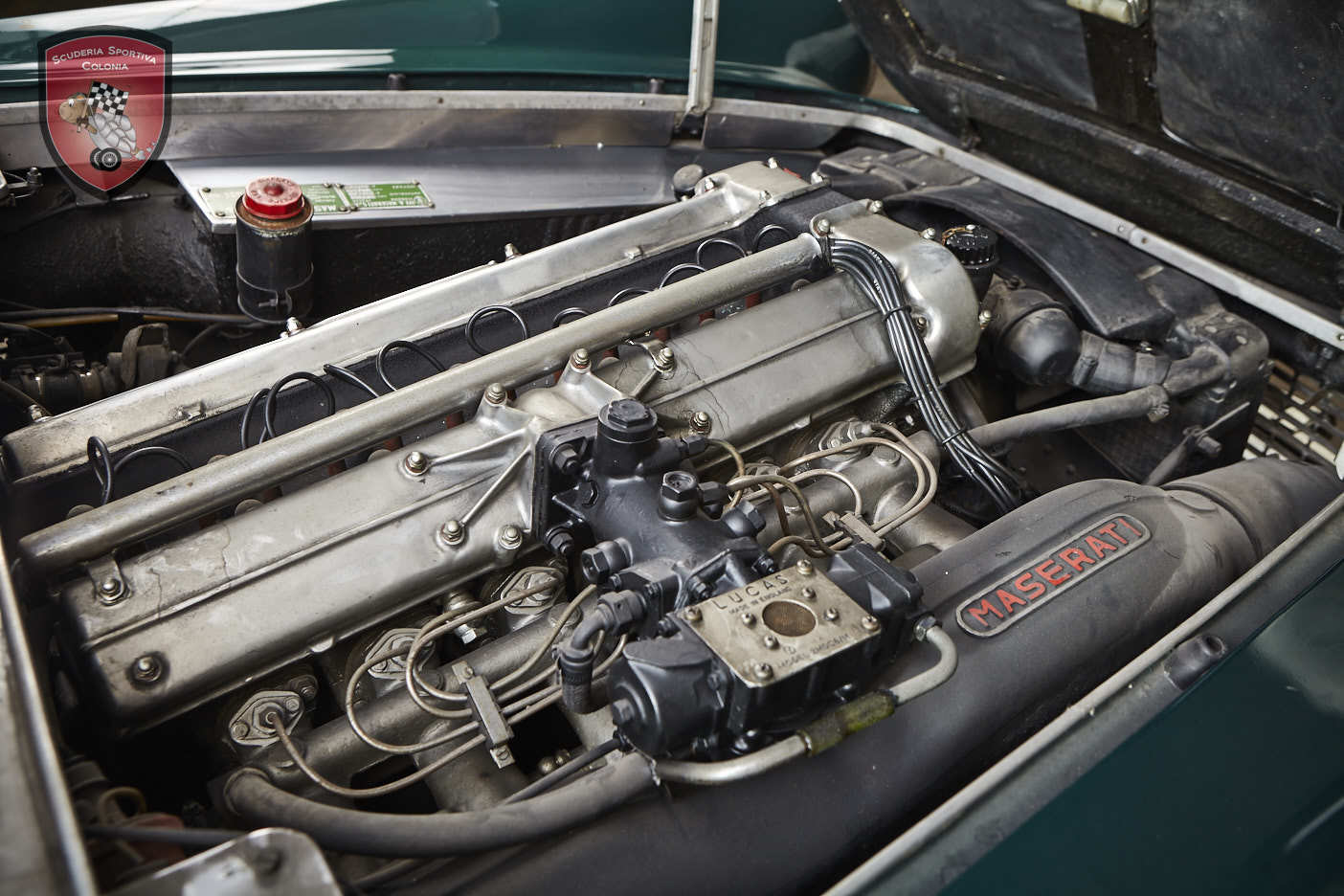 Thumbnail von Maserati 3500 GTI