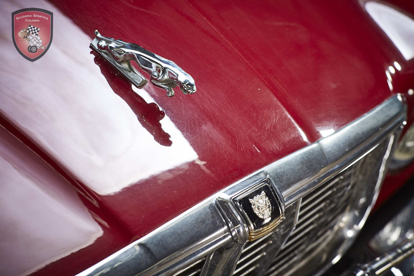 Thumbnail von Jaguar XJ C 4.2 Cabrio