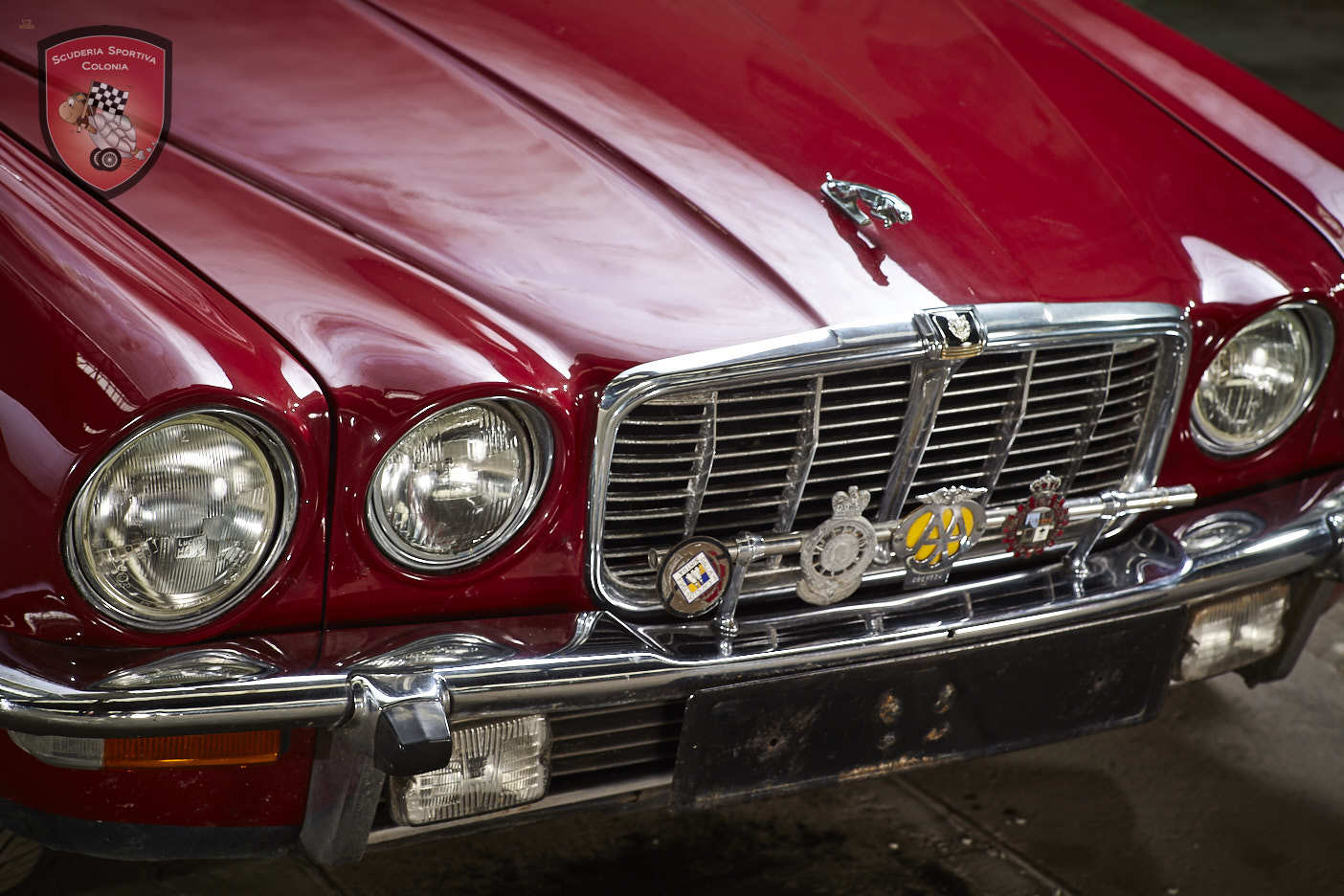 Thumbnail von Jaguar XJ C 4.2 Cabrio