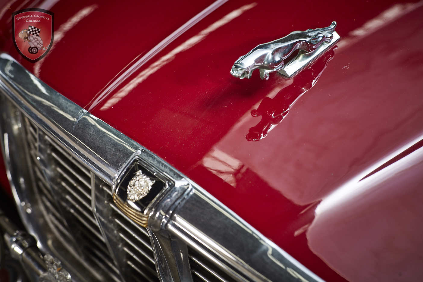 Thumbnail von Jaguar XJ C 4.2 Cabrio