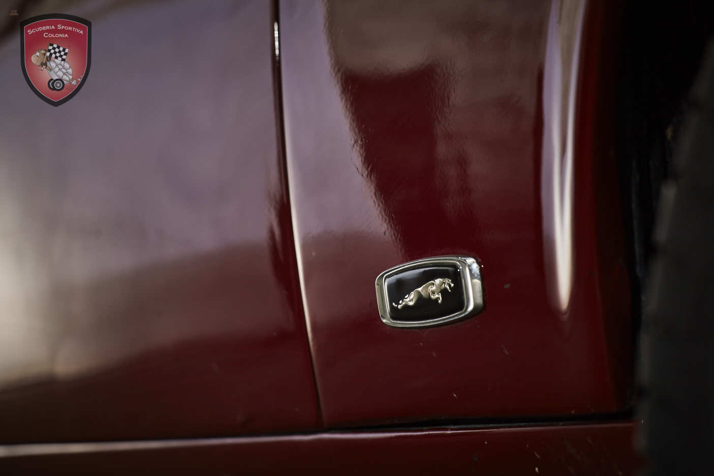 Thumbnail von Jaguar XJ C 4.2 Cabrio