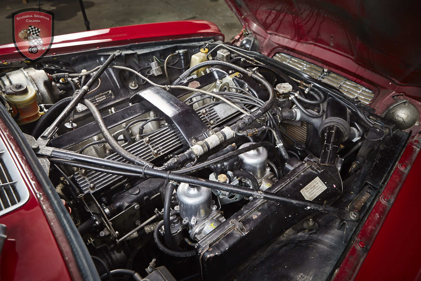 Thumbnail von Jaguar XJ C 4.2 Cabrio