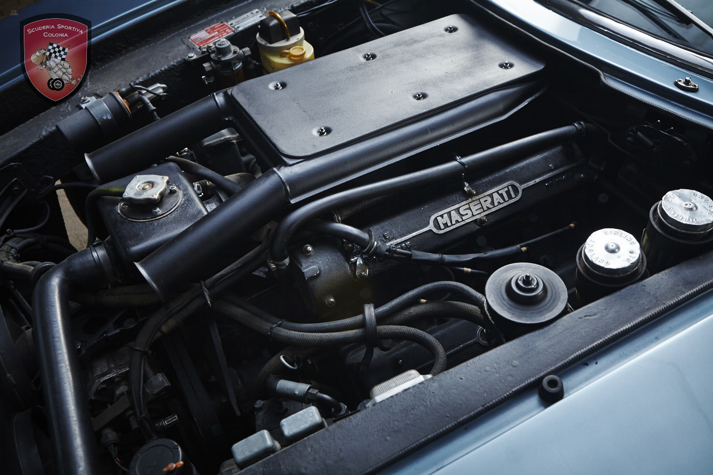 Thumbnail von Maserati Indy 4.7 America