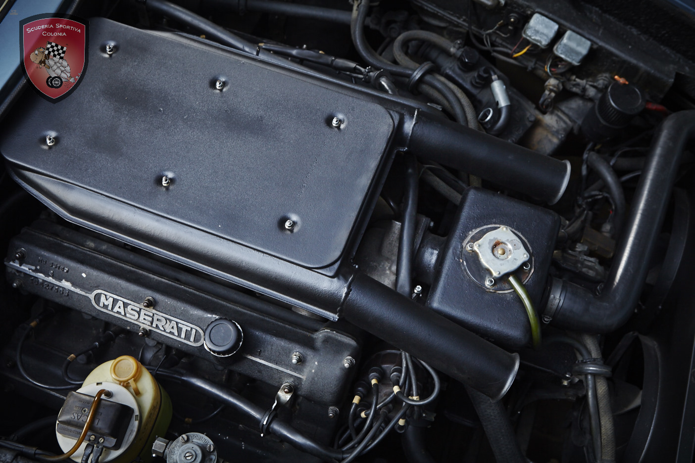 Thumbnail von Maserati Indy 4.7 America