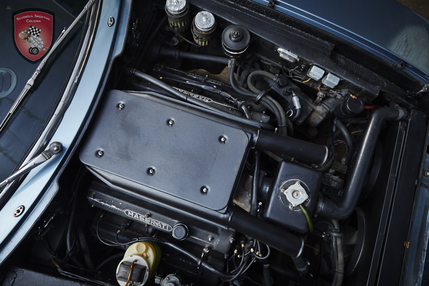 Thumbnail von Maserati Indy 4.7 America