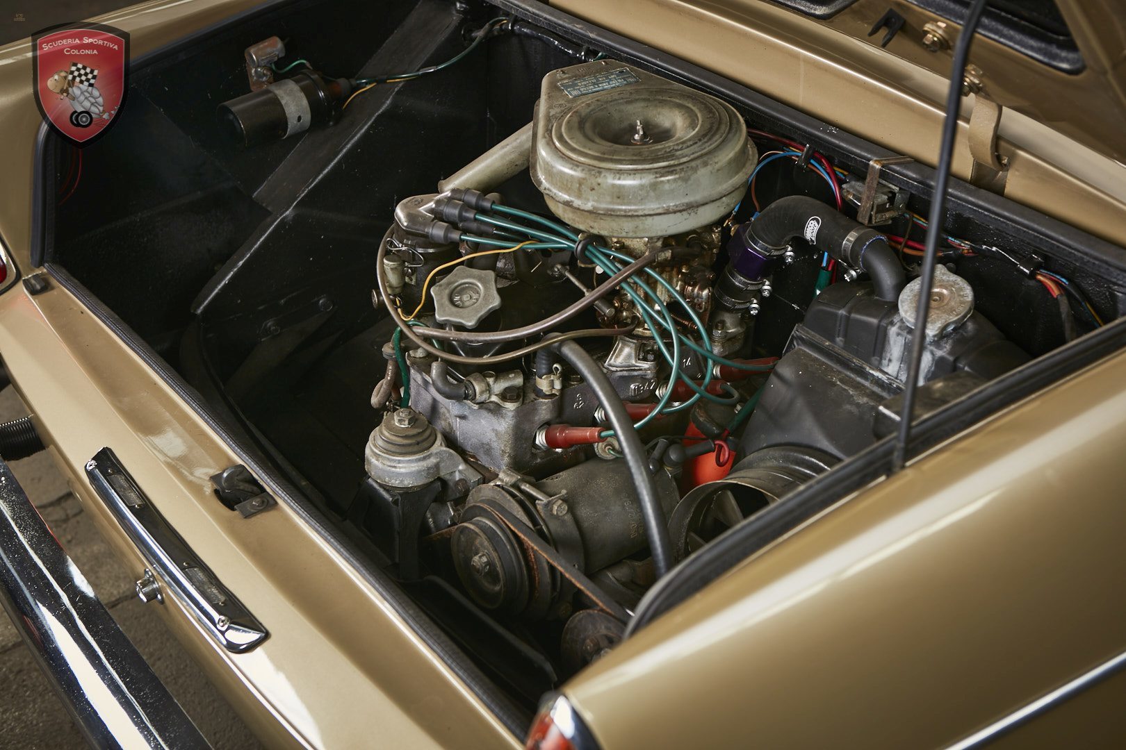 Thumbnail von 1963 Fiat 600 Vignale купе