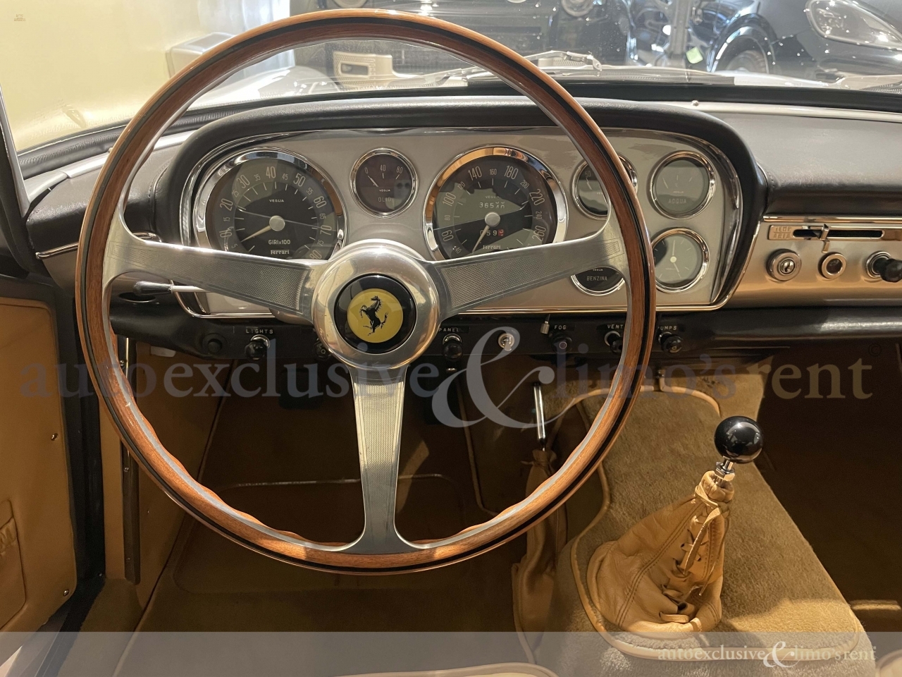 Thumbnail von Ferrari 250 GT Coupe' PF