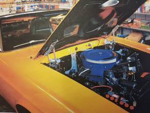 Thumbnail von ORIGINAL 1970 - Ford Shelby GT350 (Orange, open with Hardtop)