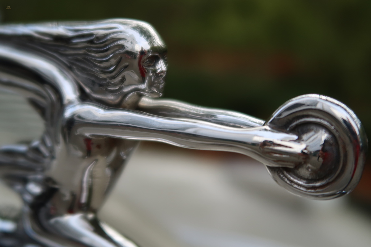 Thumbnail von Packard 1 20 Cabriolet (1940)