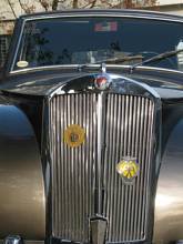 Thumbnail von Triumph Mayflower (1951)