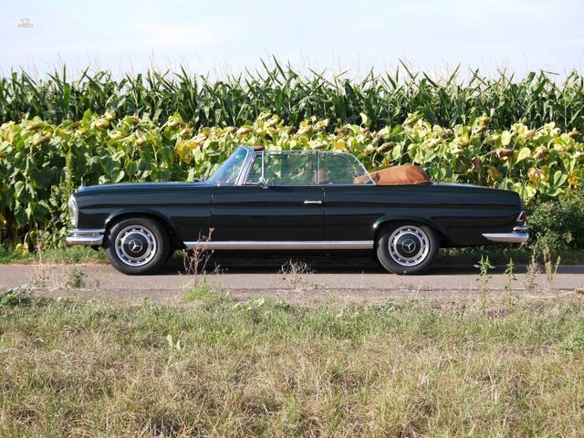 Thumbnail von Mercedes-Benz 250 SE 5.0-V8 Cabriolet