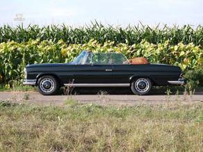 Thumbnail von Mercedes-Benz 250 SE 5.0-V8 Cabriolet