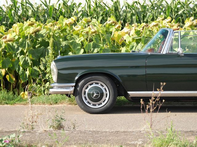 Thumbnail von Mercedes-Benz 250 SE 5.0-V8 Cabriolet