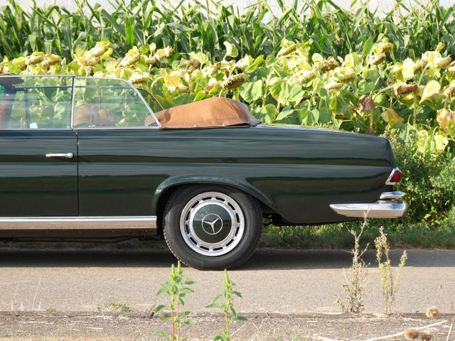 Thumbnail von Mercedes-Benz 250 SE 5.0-V8 Cabriolet