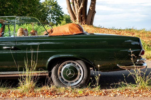 Thumbnail von Mercedes-Benz 250 SE 5.0-V8 Cabriolet