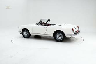 Thumbnail von Alfa Romeo 1600 Giulia Spider '65