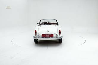 Thumbnail von Alfa Romeo 1600 Giulia Spider '65