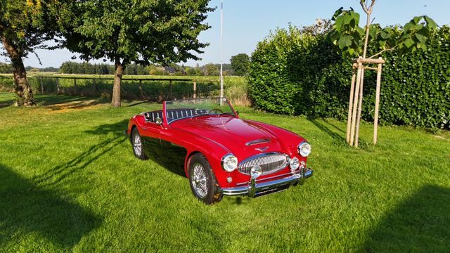 Thumbnail von Austin Healey Andere