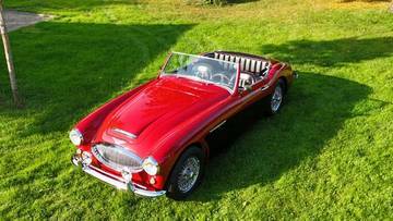 Thumbnail von Austin Healey Andere